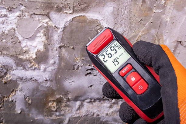 Best Crawl Space Mold Remediation in Henrietta, TX