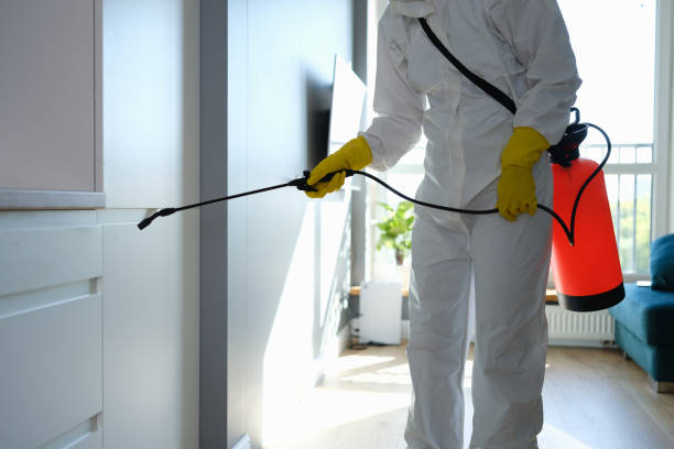 Best Emergency Mold Remediation in Henrietta, TX