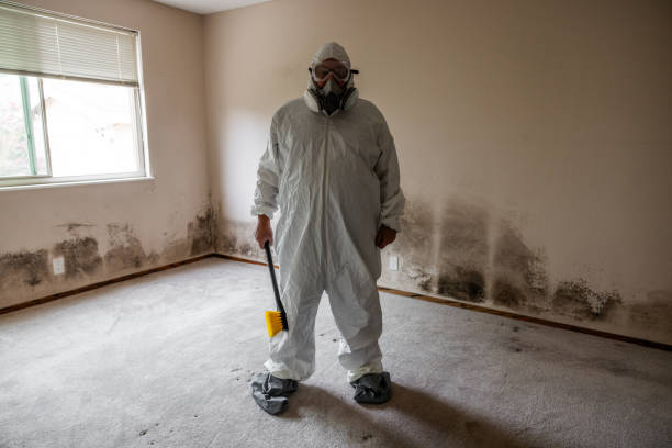 Best Bathroom Mold Remediation in Henrietta, TX